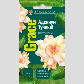 Адениум Grace (тучный) - Семена Тут