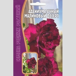 Адениум Малиновый Десерт (тучный) (большой пакет) - Семена Тут