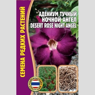 Адениум Ночной Ангел (тучный) (большой пакет) - Семена Тут