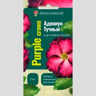 Адениум Purple Crown (тучный) - Семена Тут