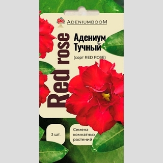 Адениум Red Rose (тучный) - Семена Тут