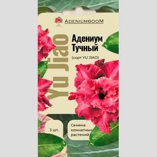 Адениум Yu Jiao (тучный) - Семена Тут
