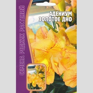 Адениум Золотое Дно (тучный) (большой пакет) - Семена Тут