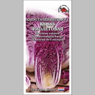 Капуста KS 888 F1 Фиолетовая (пекинская) - Семена Тут