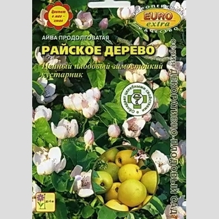 Айва Райское дерево (продолговатая) - Семена Тут