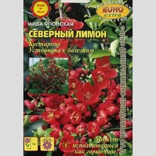 Айва Северный лимон (японская) - Семена Тут