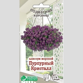 Алиссум Пурпурный Кристалл (морской) - Семена Тут