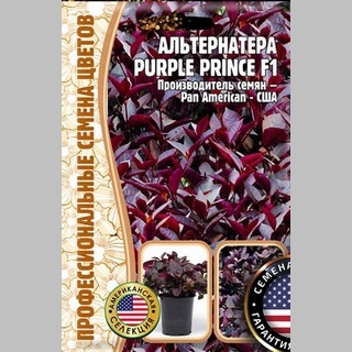 Альтернатера Purple Prince F1 (большой пакет) - Семена Тут