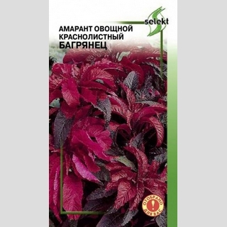 Амарант Багрянец овощной - Семена Тут