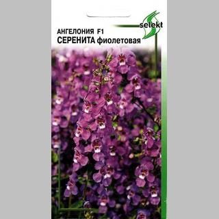 Ангелония Серенита F1 Фиолетовая - Семена Тут