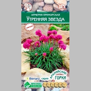 Армерия Утренняя Звезда (приморская) - Семена Тут