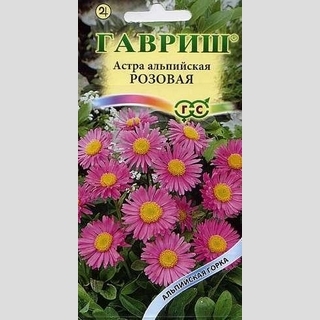 Астра Снежная королева (розовая) (альпийская) - Семена Тут