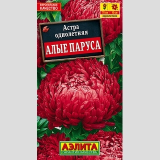 Астра Алые паруса - Семена Тут