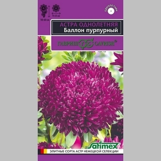 Астра Баллон Пурпурный - Семена Тут