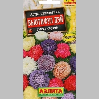 Астра Бьютифул Дэй смесь - Семена Тут