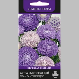 Астра Бьютифул Дэй Твайлайт Шейдес (Семена Профи) - Семена Тут