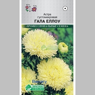 Астра Гала Еллоу - Семена Тут