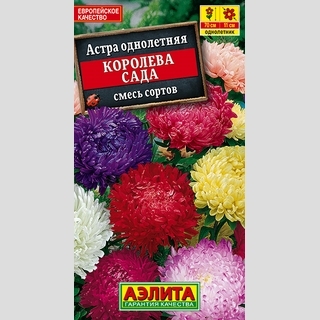 Астра Королева сада смесь - Семена Тут