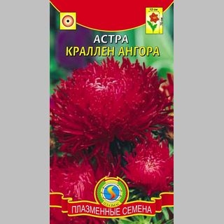 Астра Краллен Ангора - Семена Тут