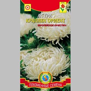 Астра Краллен Ориент - Семена Тут