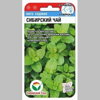 Мята Сибирский чай - Семена Тут