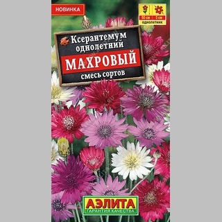 Ксерантемум Махровый смесь - Семена Тут