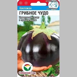 Баклажан Грибное чудо - Семена Тут