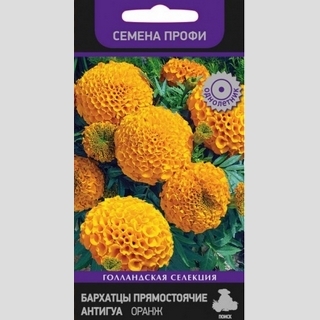 Бархатцы Антигуа F1 Оранж (Семена Профи) - Семена Тут