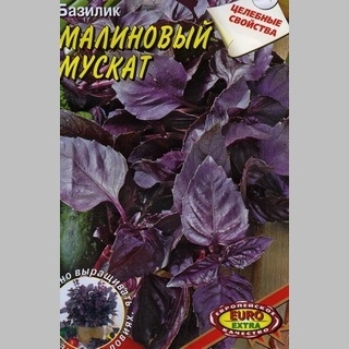 Базилик Малиновый мускат - Семена Тут