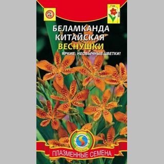Беламканда Веснушки китайская - Семена Тут