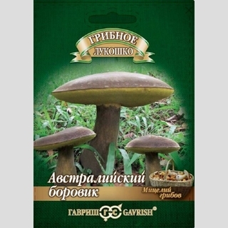 Грибы - Боровик австралийский гриб на зерновом субстрате (мицелий) 15 мл (большой пакет) - Семена Тут