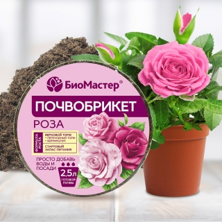 Почвобрикет Роза 2,5л круглый БиоМастер - Семена Тут