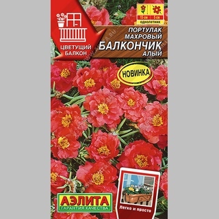 Портулак Балкончик Алый (махровый) - Семена Тут