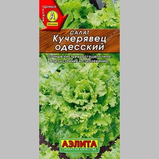 Салат Кучерявец Одесский (полукочанный) - Семена Тут