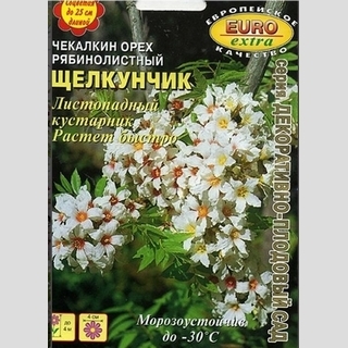Чекалкин орех Щелкунчик (рябинолистный) - Семена Тут