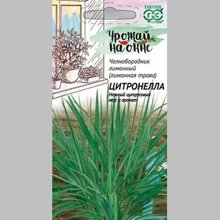 Лимонная трава Цитронелла (челнобородник лимонный) - Семена Тут