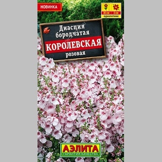 Диасция Королевская розовая - Семена Тут