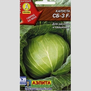Капуста СБ-3 F1 - Семена Тут