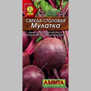 Свекла Мулатка - Семена Тут