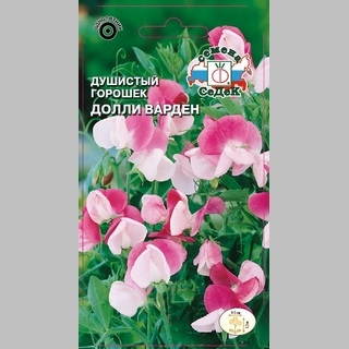 Горошек Долли Варден душистый - Семена Тут