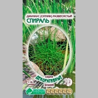 Джункус Спираль (ситник) развесистый - Семена Тут