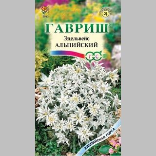 Эдельвейс Занзи альпийский - Семена Тут