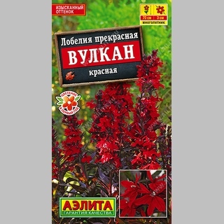 Лобелия Вулкан (прекрасная) - Семена Тут