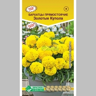 Бархатцы Золотые купола - Семена Тут