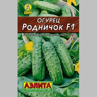 Огурец Родничок F1 - Семена Тут