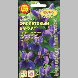 Фиалка Фиолетовый бархат (душистая) - Семена Тут