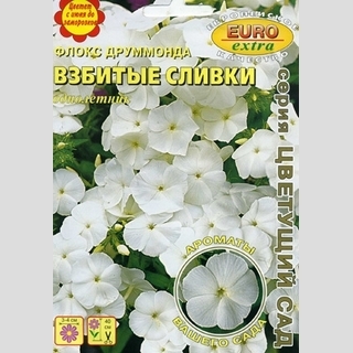 Флокс Взбитые сливки (Друммонда) - Семена Тут