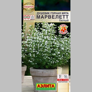 Купить семена Душевик Горная мята марвелетт белый 7шт Аэлита в интернет ...