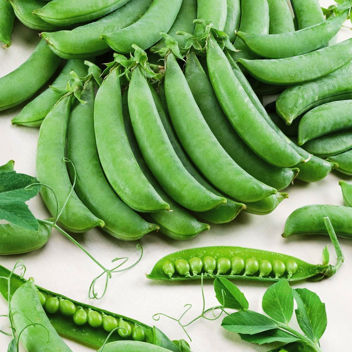 Купить семена Горох овощной Сахарный стручок в интернет-магазине ...