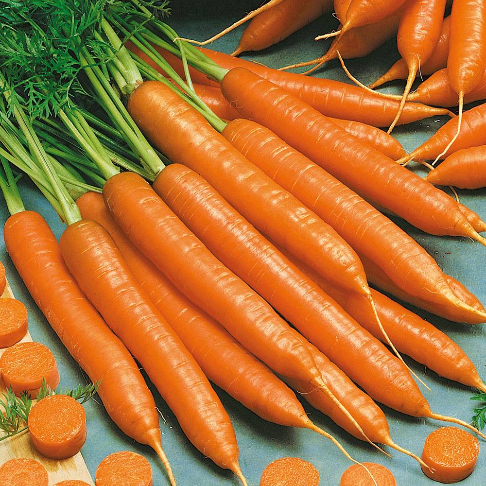 Лучшие сорта моркови для средней полосы. Морковь Канада f1. Семена. Морковь "Канада f1". Морковь сорт Канада. Семена моркови Канада.
